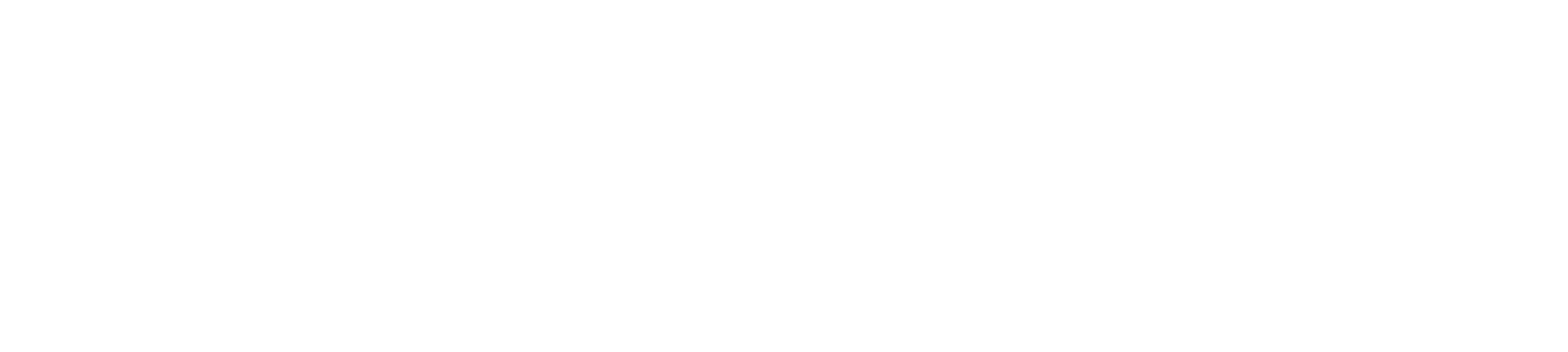 Logo horizontal blanc